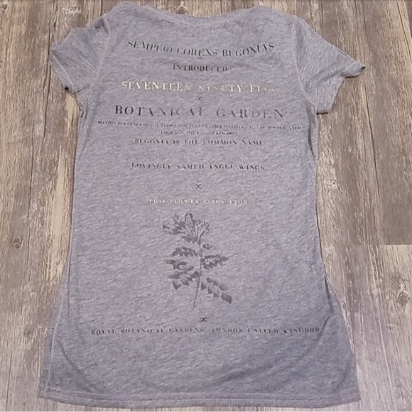 American Eagle Hollister Tee Shirt Bundle - Picture 4 of 7